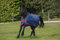 Horseware Mio Turnout Lite 0g - Dark Blue & Red