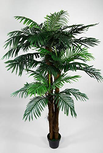Seidenblumen Roß Phönixpalme 3-stämmig 180cm ZJ künstliche Palmen Palme Kunstpalmen Kunstpflanzen Dekopalme