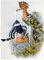 Bilderwelten Schiebegardinen Set - J. Gould - Wiedehopf - mit Deckenhalterung 250 x 180cm