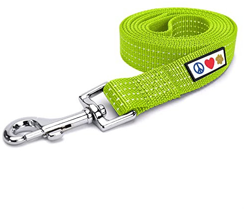 Pawtitas Hundeleine 1.8 M Leine Reflektierende Leine Hund Welpenleine bequemer Griff Hundeleine Hundetraining Leine für Hunde Extra kleine Hundeleine/kleine Hundeleine Grün Hundeleine