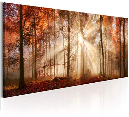 decomonkey Bilder Wald Herbst 150x50 cm XXL 1 Teilig Leinwandbilder Bild auf Leinwand Vlies Wandbild Kunstdruck Wanddeko Wand Wohnzimmer Wanddekoration Deko Natur Landschaft