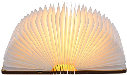 Lampada Libro 12,1x9,5x 2,5CM, Luce Libro 2.5W 500LM, Lampada Libro LED Pieghevole Ricaricabile, Bianco Caldo 2700-3000K, Porta USB, Luce Libro Lettura Notturna per i Regali di Natale Amici Famiglia