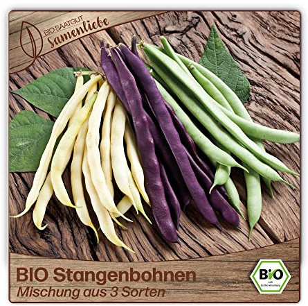 Samenliebe BIO Stangenbohnen Samen alte Sorte Mischung aus 3 Sorten Freilandbohnen Bohne 20 Samen samenfestes Gemüse Saatgut für Garten und Freiland BIO Gemüsesamen