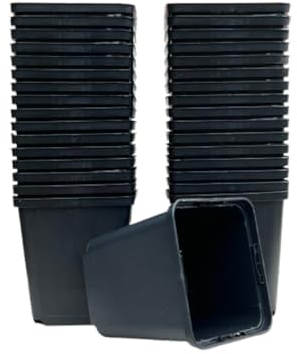 spiceboxx 50x 9x9x9,5cm Profi Anzuchttöpfe eckig Vierecktopf Pflanztöpfe Blumentöpfe klein Anzucht Vierkanttöpfe Tomatentopf Rosentopf Kunststoff Blumentopf Plastik schwarz