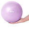 Pilates Ball, Gymnastikball Klein, 25cm Pilatesball, Gymnastikbälle Kinder, Overball Fitnessball Yogaball Fitball Büro Ergonomisch Balancegeräte für Yoga Gymnastik Gym Exercise Fitness