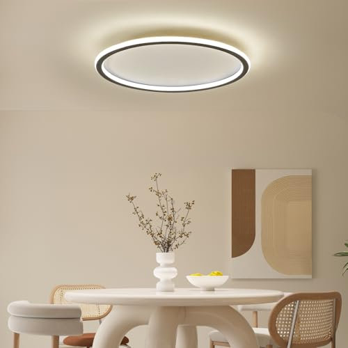 Mikeru 3000K Runde Deckenleuchte, 50cm Schlafzimmer Warmes Weiß LED-Deckenleuchten für das Badezimmer Schlanke Lampe 5cm Dicke Minimalistische Decke Licht für Wohnzimmer, Schlafzimmer