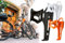 Flaschenhalter Fahrrad, KTM Trinkflaschenhalter Getränkehalter, Alu, seitliche Entnahme, ideal für kleine Rahmen, Schwarz, Weiß, Orange (Weiß)