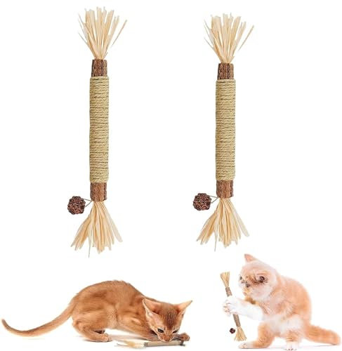 KARELLS Catnip Stick, Bastoncini da Masticare per Gatti, 2 Pezzi Bastoncini per Gatti Denti, Bastoncini Erba Gatta Gatto, Bastoncini Erba Gatta per Gatti, Bastoncini Erba Gatta Naturale