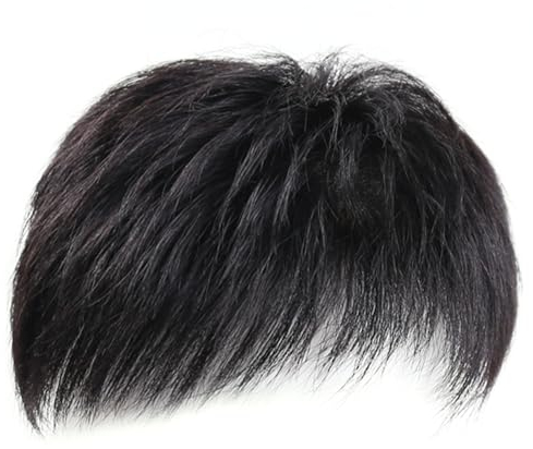 NyxSeat 1 Stück Herrenperücke Herren-Haaransatz-Ersatzhaarteil Flauschige Realistische Herrenperücke Kurze Synthetische Herrenperücke Geeignet Für Cosplay Tägliche Anziehsachen Und Mehr (Schwarz)