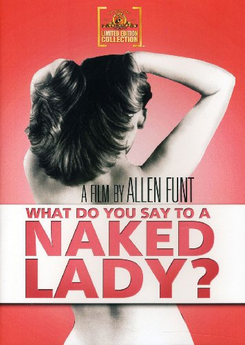 What Do You Say To A Naked Lady?