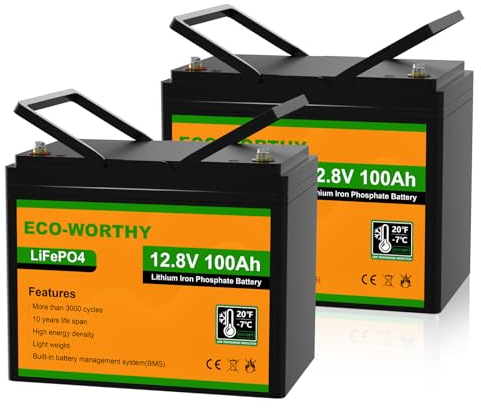 ECO-WORTHY LiFePO4 12V 200Ah Akku (2 Packungen LiFePO4 100 Ah),Lithium Batterie 12V mit über 3000 Mal Tiefzyklen und BMS Schutz für Wohnmobil, Camping, Solaranlage, Solarpanel Kit und Boot