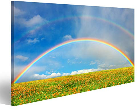 islandburner Leinwandbild Regenbogen Landschaft mit Blumenfeld Bilder Drucke Wandbilder Wanddekoration