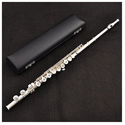 Flötenmusikinstrument 16 Offene Und Geschlossene Löcher Doppelfunktionsflöte Französisches Versilbertes Geschnitztes Blasinstrument Einsteiger Querflöten
