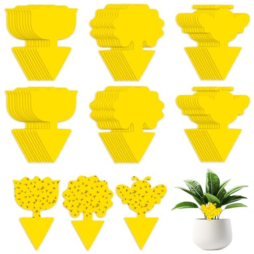 AiQInu 60 Pièges Anti Moucherons Interieur, Attrape Mouche Interieur Jaunes, Anti Pucerons Plantes Exterieur Attrape Mouche Collant pour la Lutte Contre Les Parasites des Plantes D'intérieur