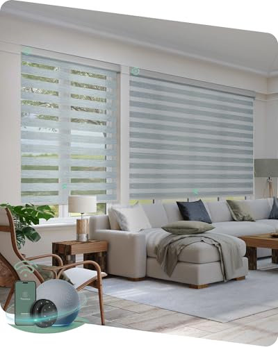 Yoolax Motorized Blinds with Remote, Electric Zebra Blinds for Indoor Windows, Blackout Smart Blinds with Voice Control, Compatible with Alexa Google Home, APP Control, 27 W x 72 H, Grey