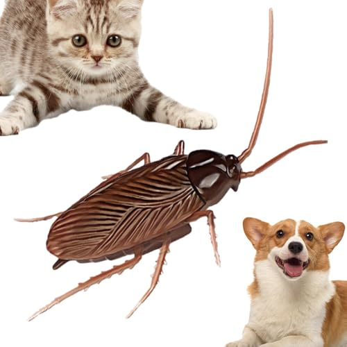 Generisch Elektrisches Insektenspielzeug - Realistische Kakerlake & Spinne Mit Vibration | Gruseliges Scherzartikel-Set Für Pranks & Witze | Batteriebetriebenes Krabbeltier Für Kinder & Erwachsene