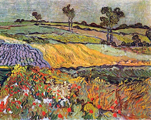 1art1 Vincent Van Gogh Poster Ebene Bei Auvers, Um 1890, Detail Kunstdruck Bild 50x40 cm
