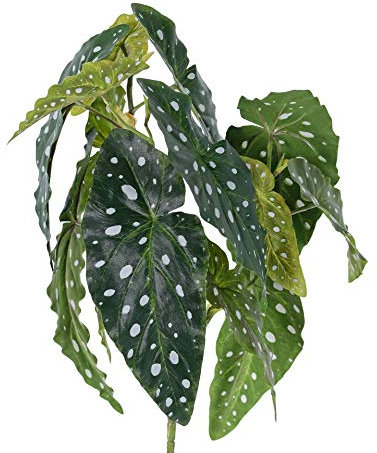 artplants.de Fake polka dot begonia HANSE on spike, green-white, 16/40cm - Begonia maculata/Artificial exotic plant
