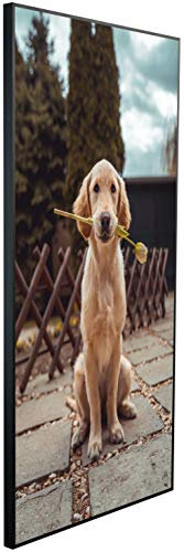 Ecowelle Infrarotheizung mit Bild | 750 Watt | 60x120 cm | Infrarot Heizung| | Made in Germany| b 97 Hund