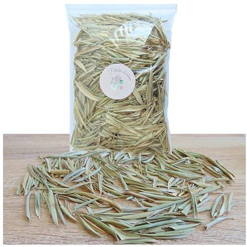 Olivier Feuilles entières séchées Naturelles biodégradable 1 Litre | Décoration Mariage Table Bohème Champêtre - Petales a Jeter Mariage - France (Feuille d'olivier)