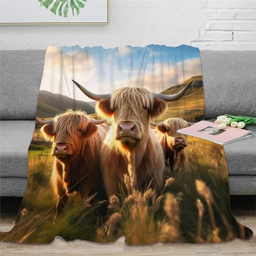 KeAan Hochlandkuh Kuh Decke Kuscheldecke Plüschdecke Printdesign Couchdecke MikrofaserDecke 60x80inch(150x200cm)