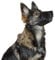 Kerbl Pet Nylon Maulkorb M, schwarz 17 - 22 cm / 7,5 cm
