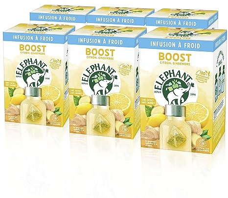 Elephant Infusion à Froid Boost, Eau Froide Aromatisée, Parfums Naturels Citron Gingembre, Lot de 6 x 15 Sachets Individuels, 90 Sachets Pyramid