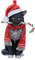 Nemesis Now Candy Cane Cat Hanging Ornament (LP) 9cm, Red, Christmas