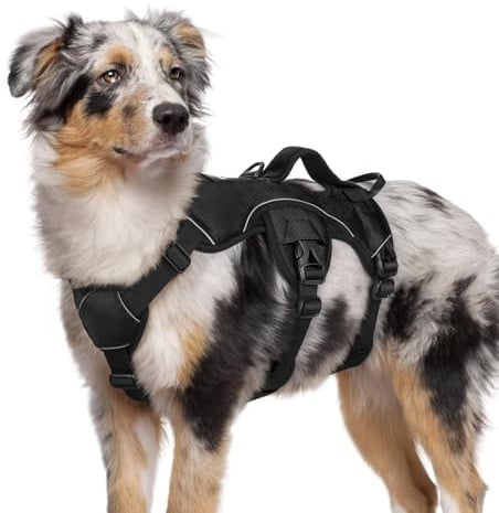 rabbitgoo Escape Proof Dog Harness, Soft Padded Full Body Pet Harness, Reflective Adjustable No Pull Vest with Lift Handle and Leash Clip for Large Dogs Walking Hiking Training, M, Black