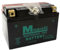 Minarelli YT12A-BS 12 V 10 Ah Akku für Motorräder, kompatibel mit Kymco People GTI 300 4T 10 > 10 Spezifikation, komplett ohne Wartung