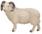 Mojo Schaf (RAM) Spielzeug Figur