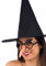Carnival Toys 6826 - Brille mit Hexennase