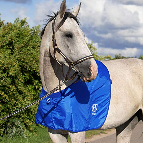Harrison Howard Anti-Rub Bib Horse Shoulder Guard Chest Saver Wither Protector - Champion Blue