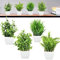 CAREDGO Künstliche Pflanzen im Topf, 4 Stück Gefälschte Pflanzen Plastikpflanzen Fake Pflanzen Grüne Gras aus Kunststpff Mini Künstliche Pflanzen Deko Artificial Plant Klein als Deko, 18 *6.5 *6.5cm