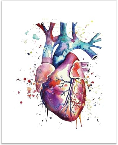 arricraft Poster Mit Anatomie-Herz-Bild, 1 Stück, Dreamful Anatomy Wandkunstdruck, Ungerahmt, Aquarell-Organ-Poster, Papier, Wandbehang Für Arzt, Krankenschwester, Kardiologe