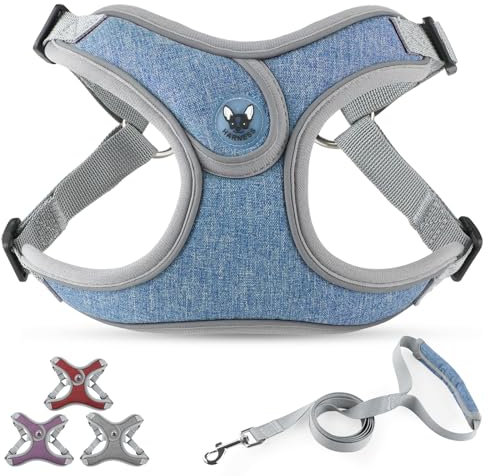 PcEoTllar Hundegeschirr Kleine Hunde und Leine Set, Reflektierend Geschirr Hund mit Weich Gepolstert, Step-in-Einstellbar Brustgeschirr für Kleine Mittelgroße Hunde, Blau-M