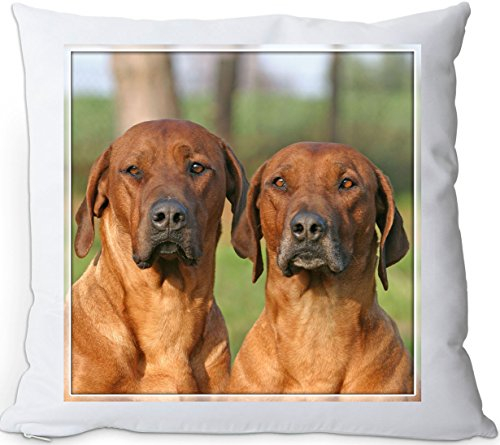 +++ Rhodesian RIDGEBACK - Kuschelkissen/KISSEN | PILLOW/Dekokissen - RRB 07
