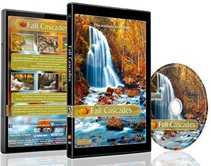 Entspannende Natur DVD - Herbst Kaskaden - Beruhigende Sanftheit und Herbstfarben mit binauraler 3D - Tonaufnahme für ein natürliches Entspannungserlebnis