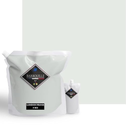 Peinture Résine Blanc Titanium - Résine Epoxy Bi-Composants - Effet Mat - Peinture Mur, Plafond, Boiserie, Carrelage & Métal - Lessivable - COV A+ - Fabriquée En France - 2,5 L - BARBOUILLE