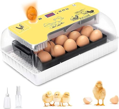 CHIKERS Brutautomat Vollautomatisch für Geflügeleier - Brutmaschine für 12 Eier - Inkubator hühner mit automatischem Rotationssystem und Temperaturkontrolle - Für Geflügel, Hausgebrauch und Geschenke