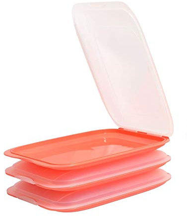 Design 3X Aufschnittboxen/Frischhalteboxen/Frischhaltedose stapelbar in der Farbe Rosa/Lachs geeignet für Aufschnitt wie Wurst und Käse und vieles mehr in der Größe 25x17x3.3cm