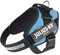 JULIUS K-9 IDC Powergeschirre Aquamarine mit individuelle Klettaufschriften Bundle optionale Größe, 16IDC+CUSTOMP-AM, Kleine, mittelgroße, und große Hunde