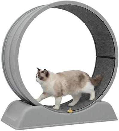 Katzenlaufrad 80cm Laufrad für Katzen, Katzenrad mit Katzenspielzeug und Teppich, 10 kg Belastbarkeit, Leicht zu reinigen, Katzenlaufband für Laufen, Gehen, Training
