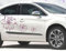 Unbekannt Design Autoaufkleber - 10er Set ***LILIEN - Flower*** Motivfarbe kann frei gewählt Werden!
