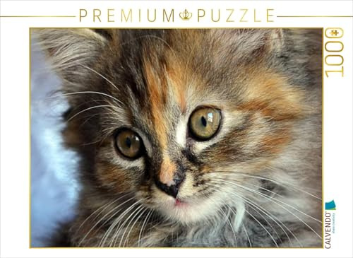 CALVENDO Puzzle Kulleraugen | 1000 Teile Lege-Größe 64 x 48 cm Foto-Puzzle für glückliche Stunden