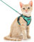 Dooradar Katzengeschirr mit Leine Ausbruchsicher, Katzenleine mit Geschirr für Katzen Mittelgroße, Reflektierend, Katzengeschirr Große Katze, S, Grün