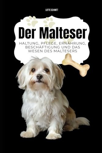 Malteser: Haltung, Pflege, Ernährung, Beschäftigung und das Wesen des Maltesers