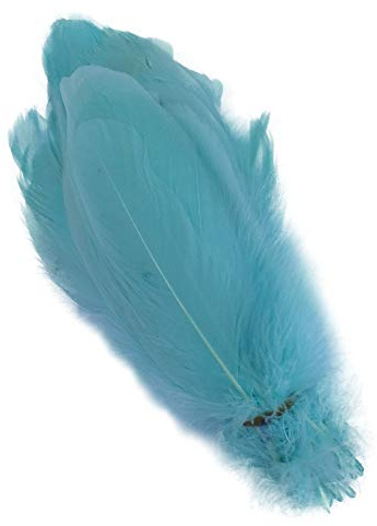 Sowder Natural Goose Feathers Clothing Accessories Pack of 100(Mint Green)