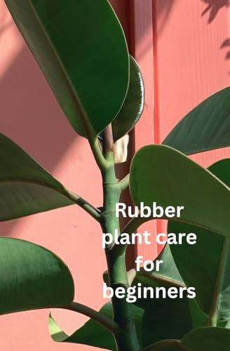 Rubber Plant Care For Beginners: The only book you need for caring and growing a Rubber plant, whether you are new to house plants or you're an experienced house parent