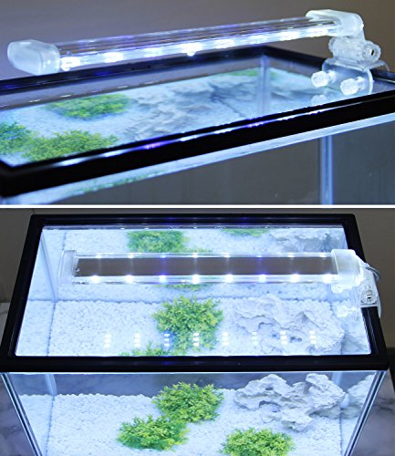 BPS Lampe d'aquarium LED submersible pour plantes lumière blanche et bleue 8W